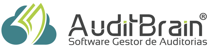 Auditbrain